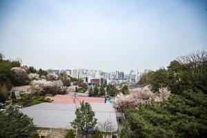  교회 둘러보기(평강의 봄)