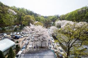  교회 둘러보기(평강의 봄)