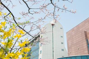  교회 둘러보기(평강의 봄)