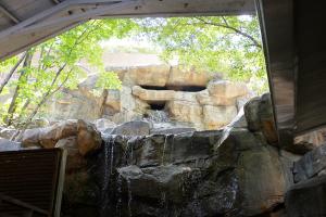  하계대성회 넷째날 (둘러보기)