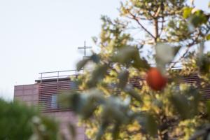  주일 교회 둘러보기