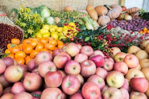  주일 교회 둘러보기