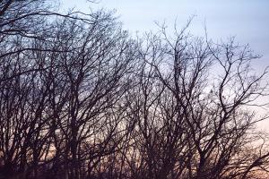  주일 4부 송구영신예배