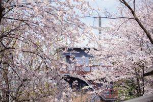   교회 둘러보기(평강의 봄)