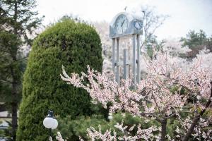   교회 둘러보기(평강의 봄)