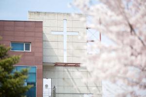   교회 둘러보기(평강의 봄)