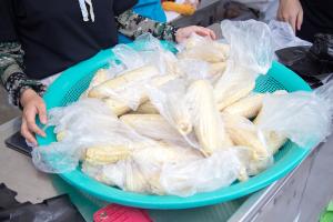  하계대성회 셋째날(둘러보기)