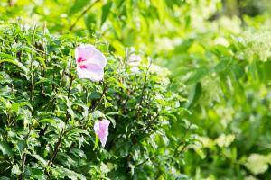  하계대성회 넷째날(둘러보기)