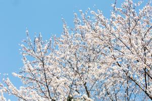  토요일 교회 둘러보기