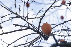  교회 가을 둘러보기