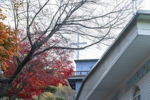  교회 가을 둘러보기