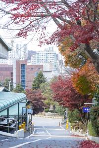  교회 가을 둘러보기