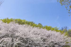  주일 2부예배